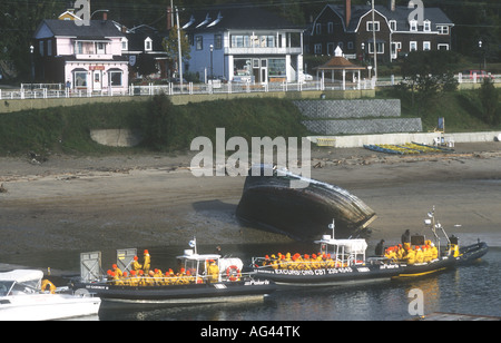 Dans WHALEWATCHERS CIRÉS JAUNES À Tadoussac, Québec, le fleuve Saint-Laurent et de la RIVIÈRE SAGUENAY Banque D'Images