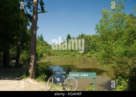 Le Lac Louisa Bedgebury Forest Trail cycle famille parrainée par Kent Commission forestière et Sport England Banque D'Images