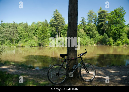 Le Lac Louisa Bedgebury Forest Trail cycle famille parrainée par Kent Commission forestière et Sport England Banque D'Images