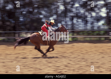 Une cowgirl élevées pour la ligne d'arrivée lors d'un concours de rodéo sur Maui, Hawaii. Banque D'Images