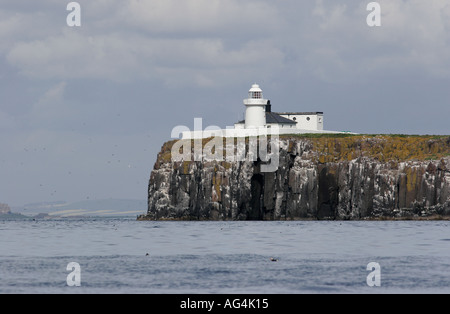 Le phare sur l'île de Farne intérieure Banque D'Images