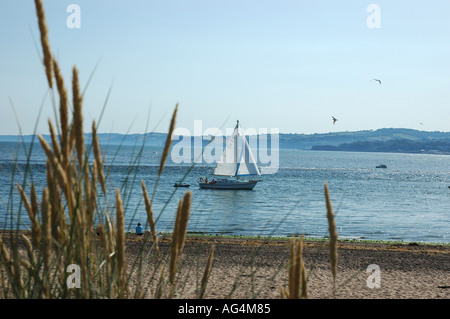 Voir à partir de la plage de bateau à voile en mer en Exmouth Devon UK Royaume-Uni Angleterre Banque D'Images