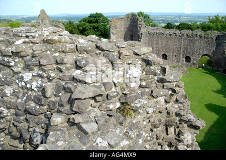 Voir l'intérieur du quartier de Château Blanc à l'origine une motte Norman Bailey et la pierre date de 1184 Monmouthshire au Pays de Galles UK Banque D'Images