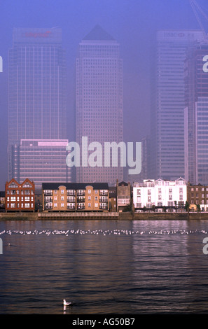 Vue sur Canary Wharf estate sur la Tamise dans les Docklands de Londres UK Banque D'Images