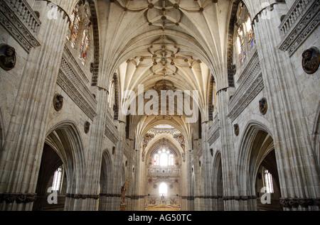 Nef principale, Salamanque Nouvelle Cathédrale, Salamanque, Castille et Leon, Espagne Banque D'Images