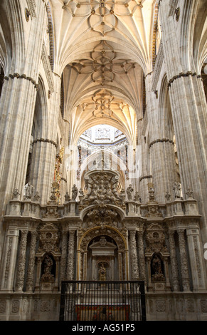 Nef principale, Salamanque Nouvelle Cathédrale, Salamanque, Castille et Leon, Espagne Banque D'Images
