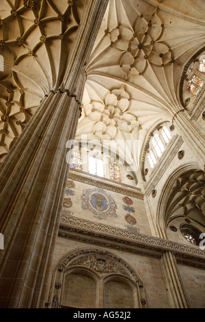 Pilar principal dans la nef centrale, la nouvelle cathédrale de Salamanque, Salamanque, Castille et Leon, Espagne Banque D'Images