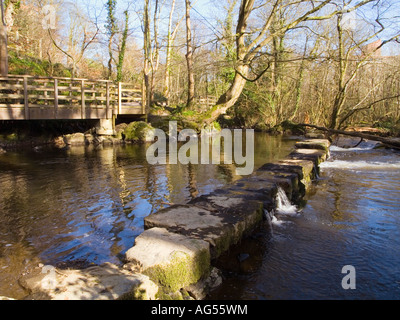 Promenade en pierres à travers la rivière Afon Cefni dans les bois de la Dingle Nant y Pandy réserve naturelle locale Llangefni Isle of Anglesey Pays de Galles Royaume-Uni Banque D'Images