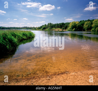 Avis de Frensham Little Pond près de Farnham, Surrey, Angleterre, Royaume-Uni. Banque D'Images