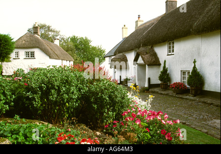 North Devon Bovey, village des chaumières Banque D'Images