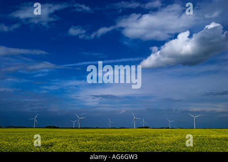 Sur les éoliennes, Fenland près de Ramsey, Peterborough, Cambridgeshire Banque D'Images