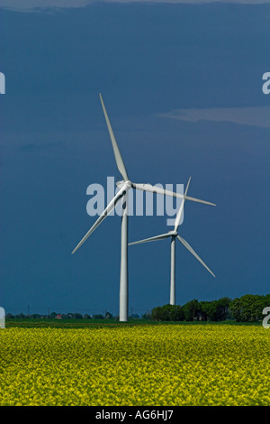 Sur les éoliennes, Fenland près de Ramsey, Peterborough, Cambridgeshire Banque D'Images