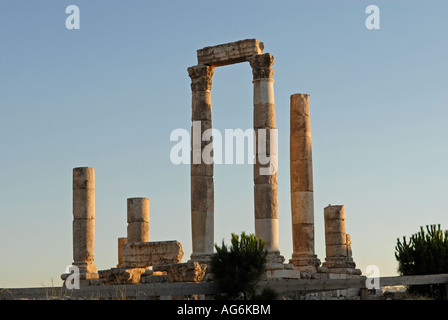 Ruines de la Citadelle. Jebel al-Qalaa, Qala hill, colonnes de l'Hercules romain temple à Amman Jordanie Banque D'Images