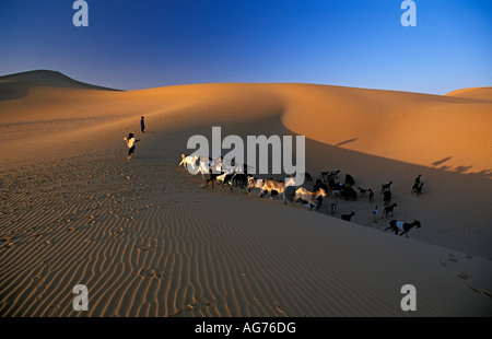 Le Niger près de Ifrouane Enfants d'élevage de chèvres sur tribu touareg sand dune Banque D'Images