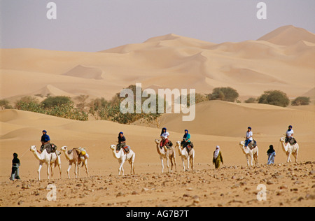 Agadez Niger les touristes en safari de chameau au désert du Sahara Banque D'Images