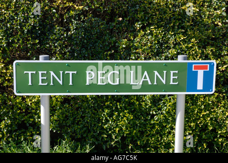 Inscrivez le nom de la rue inhabituelle pour piquet de tente 'Lane' Banque D'Images