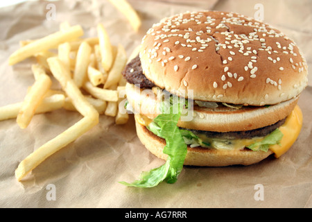 Sandwich Cheeseburger avec frites Banque D'Images