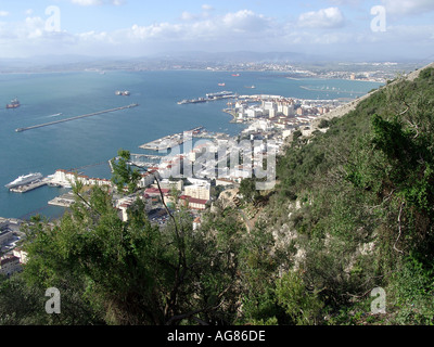 Gibraltar Marina et le port vu de la réserve naturelle de la roche Banque D'Images