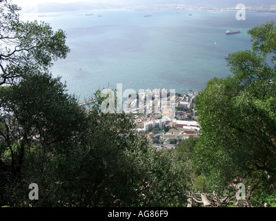 Gibraltar Marina et le port vu de la réserve naturelle de la roche Banque D'Images