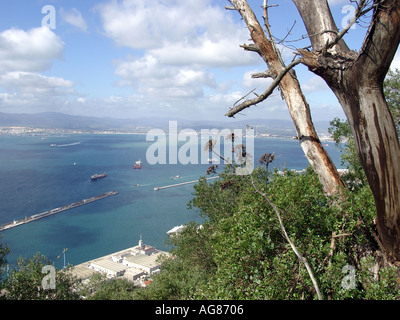 Gibraltar Marina et le port vu de la réserve naturelle de la roche Banque D'Images