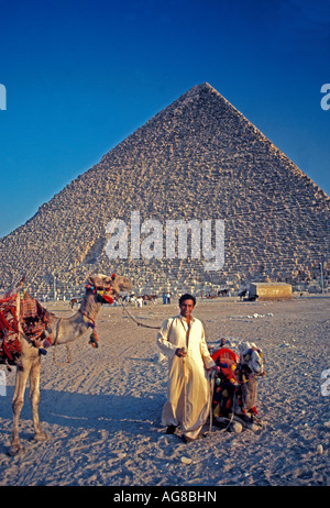 L'Égypte grande pyramide de Khéops à Gizeh Égypte khufu homme égyptien holding chameaux Banque D'Images