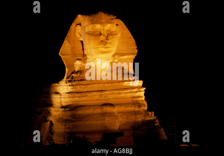 Egypte Giza Sphinx tête face closeup portrait spectacle son et lumière de nuit fond sombre Banque D'Images