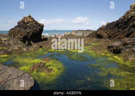 Piscine dans les rochers à marée basse sur la côte du patrimoine de l'AONB et salon de beauté naturelle exceptionnelle Anglesey au nord du Pays de Galles Banque D'Images