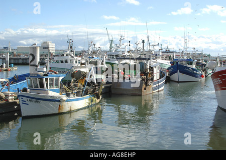 Bateaux de pêche au port, France, Normandie, Seine-Maritime, Le Havre Banque D'Images