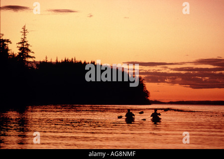 Des kayaks, des canots dans la lumière du soir, à proximité de Robson Bight, Île de Vancouver, Canada Banque D'Images