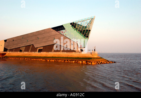 Kingston Upon Hull, l'aquarium The Deep Banque D'Images