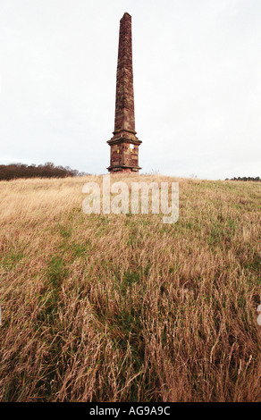 Le monument sur la colline de Wychbury Hagley England Uk insperation pour l'opéra qui a mis Bella dans l'Orme montagnard par Simon Holt Banque D'Images