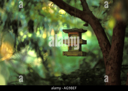 Le style oriental mangeoire suspendue à arbre branche Meerkerk Gardens Greenbank Washington Whidbey Island Banque D'Images