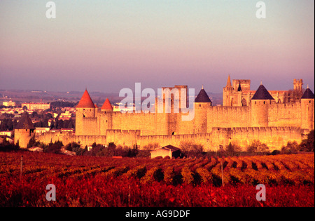La ville médiévale de Carcassonne France vue du sud dans les vignes Banque D'Images