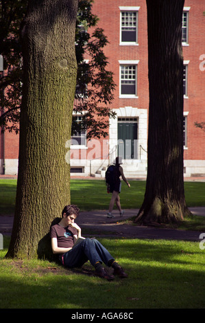 Student reclining contre l'arbre lecture à Harvard Yard Harvard University Cambridge MA Banque D'Images