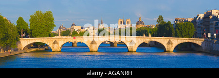 Paris France vue panoramique de la Seine et la cathédrale Notre-Dame à partir de la passerelle Solférino au printemps Banque D'Images