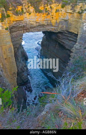 L'océan en arc rocher connu sous le nom de la Cuisine du Diable sur la péninsule de Tasman à Eaglehawk Neck en Tasmanie Banque D'Images