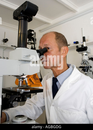 À la recherche scientifique microbiologiste par microscope et de concentration au travail dans son laboratoire très stérile et cliniques Banque D'Images