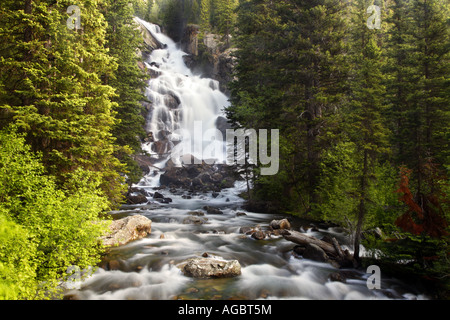 Hidden Falls Creek de la Cascade sur le sentier des chutes cachées du Parc National de Grand Teton Wyoming Banque D'Images