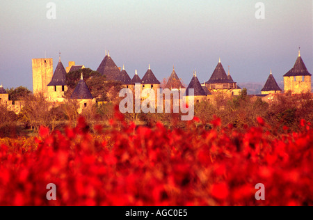 La ville médiévale de Carcassonne France Tour Mipadre vu depuis les vignes depuis le sud Banque D'Images