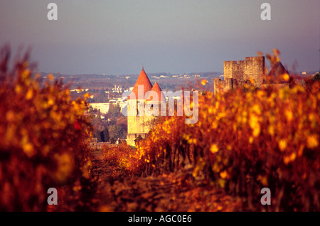 La ville médiévale de Carcassonne France Tour Mipadre vu depuis les vignes depuis le sud Banque D'Images