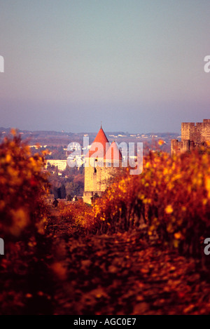 La ville médiévale de Carcassonne France Tour Mipadre vu depuis les vignes depuis le sud Banque D'Images