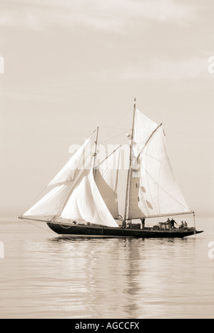 Image sépia de la restauré construit en 1909 gaff rigged Hoshi goélette sous voiles en mer calme Banque D'Images