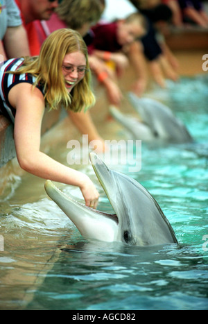 Nourrir les touristes les dauphins au SeaWorld à Orlando la Floride Etats-Unis Banque D'Images