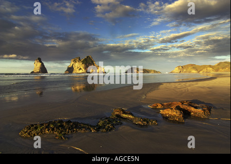 Marée basse à Wharariki Beach, à l'égard des îles d'Archway, Golden Bay, Nouvelle-Zélande. Lumière du soir. Banque D'Images