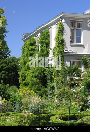 HORTUS BOTANICUS à Amsterdam Banque D'Images