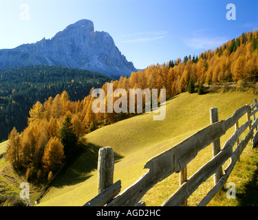 Il - TRENTINO : Peitlerkofel Randonnée dans les Dolomites Banque D'Images