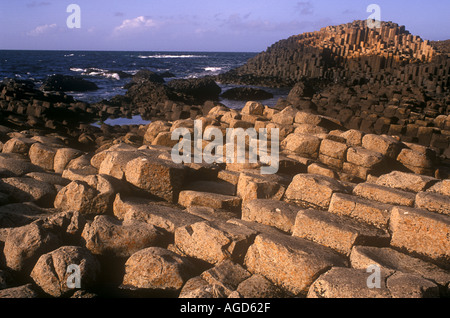 L'IRLANDE DU NORD dans le comté d'Antrim Giants Causeway le paysage dominé par les formations rocheuses inhabituelles de la Causeway coast Banque D'Images