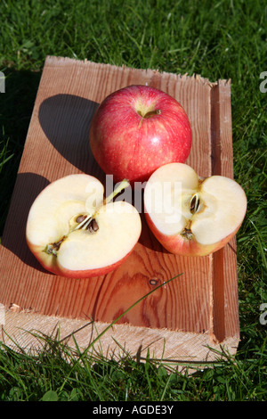 Les Pommes gala portrait ensoleillé vue plongeante sur un ensemble et deux demi-pommes sur bois sur l'herbe Banque D'Images