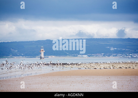 Whiteford Sands phare et oiseaux Banque D'Images