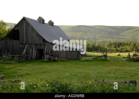 Image de vieux weatherd grange en bois avec deux coupoles d'aération Banque D'Images